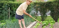 ground-garden