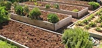 ground-garden